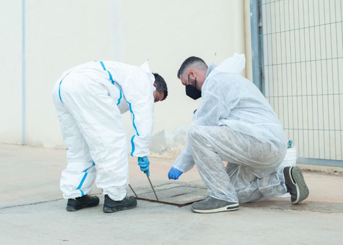 FUMIGACIONES ECONÓMICAS CDMX